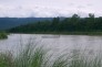 Parc de Chitwan